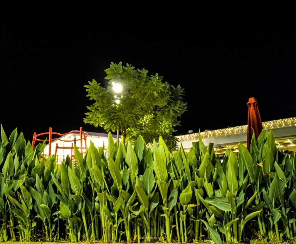 Karanlığı Nasıl Değerlendirmeli?