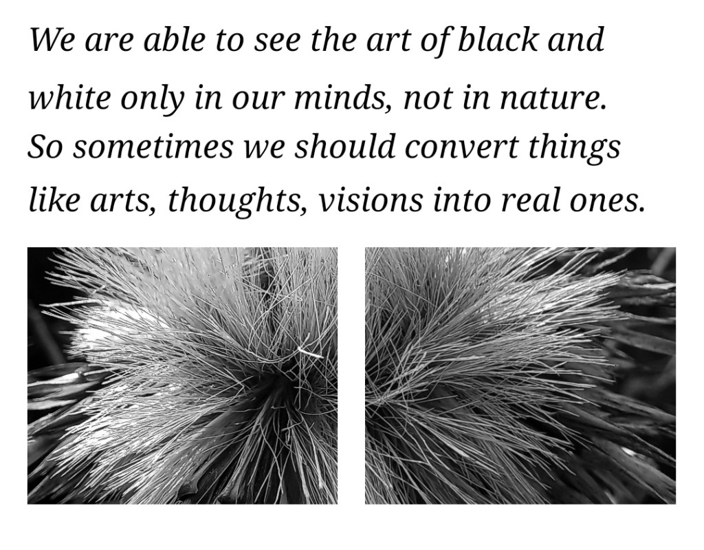 Başlıksız yazı 333