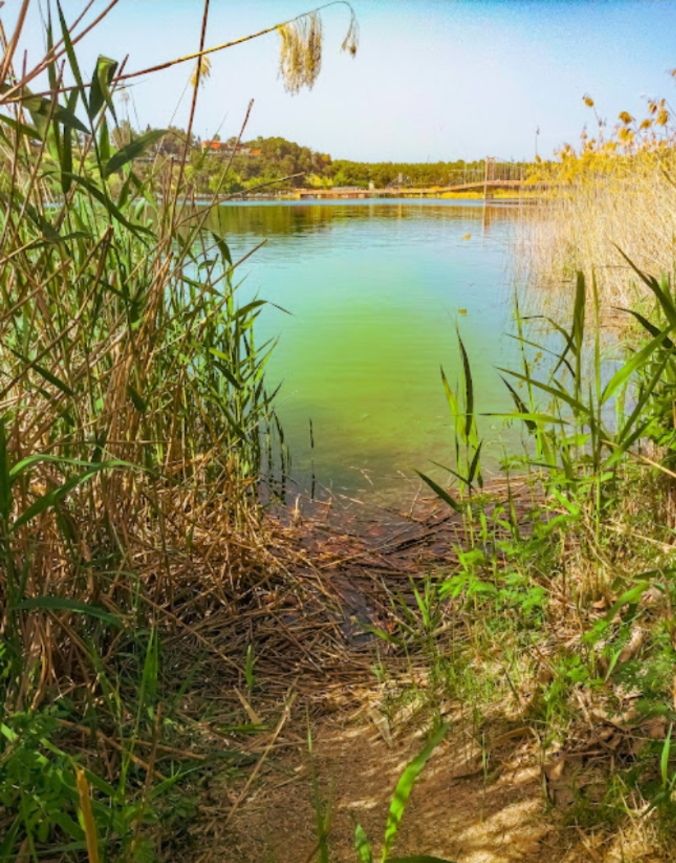 Kişisel Gelişim Pazarlayan Toplumsal&nbsp;Gelişimciler