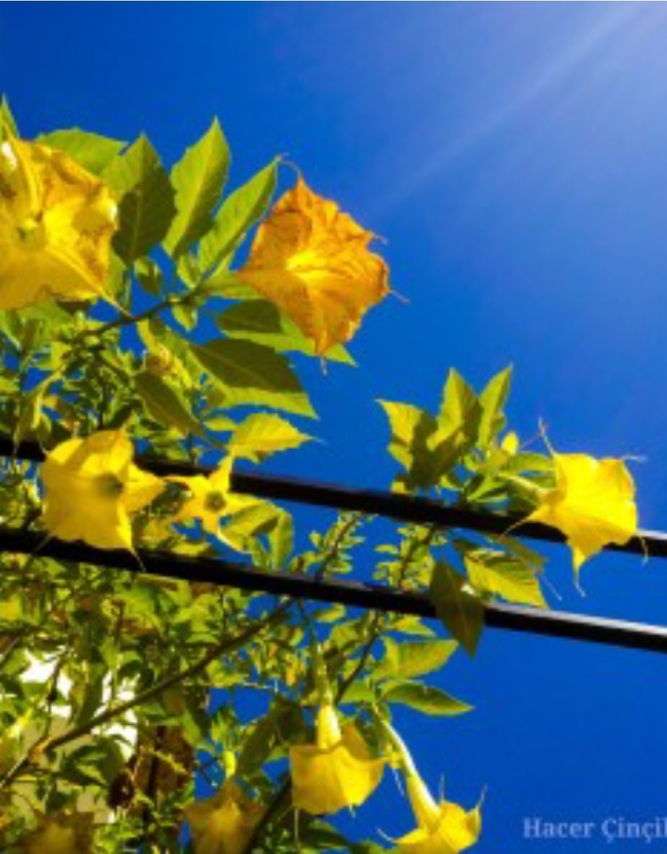 Dipten Göklere Yolculuk